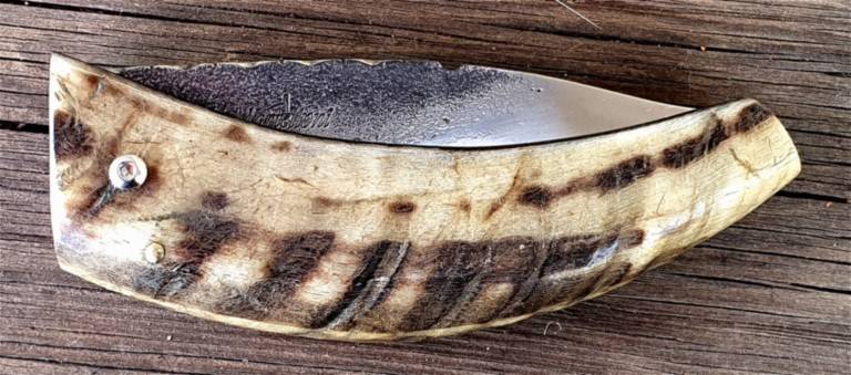 Couteau corse Martelloni pliant curnicciolu